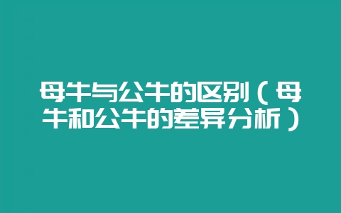 母牛与公牛的区别(母牛和公牛的差异分析)插图 母牛与公牛的区别(母牛和公牛的差异分析)插图