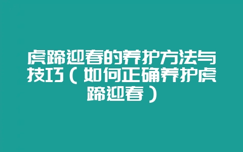 虎蹄迎春的养护方法与技巧（如何正确养护虎蹄迎春）-会东网