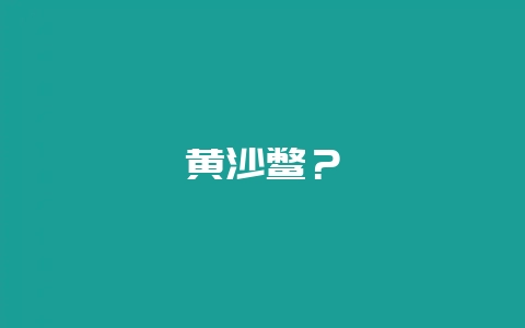 黄沙鳖？-会东网