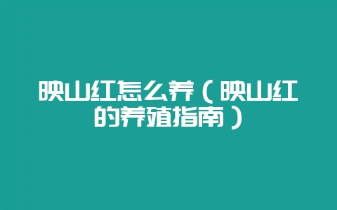 映山红怎么养(映山红的养殖指南)-会东网