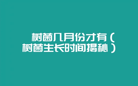枞树菌几月份才有(枞树菌生长时间揭秘)-会东网