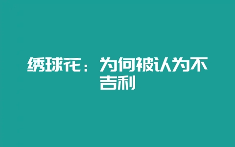 绣球花：为何被认为不吉利-会东网