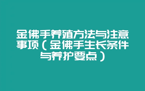 金佛手养殖方法与注意事项（金佛手生长条件与养护要点）-会东网
