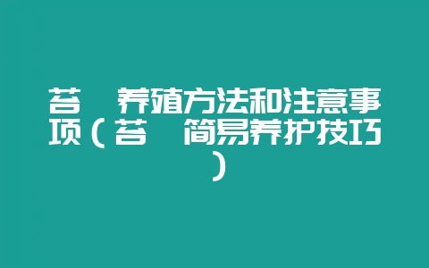 苔藓养殖方法和注意事项（苔藓简易养护技巧）-会东网