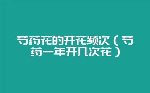 芍药花的开花频次(芍药一年开几次花)-会东网