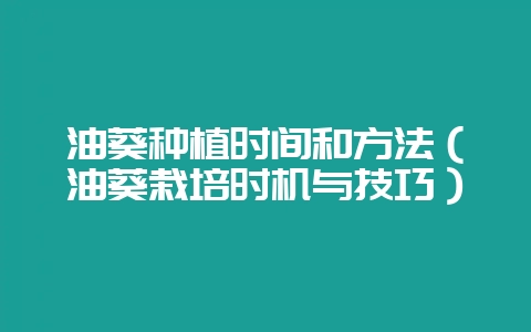 油葵种植时间和方法（油葵栽培时机与技巧）-会东网