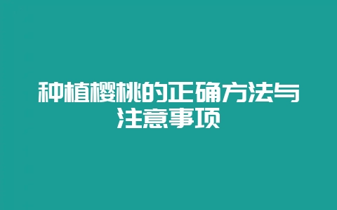 种植樱桃的正确方法与注意事项-会东网