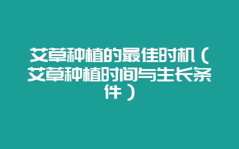 艾草种植的最佳时机（艾草种植时间与生长条件）-会东网