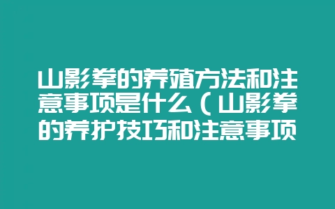 山影拳的养殖方法和注意事项是什么（山影拳的养护技巧和注意事项-会东网