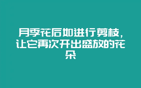 月季花后如进行剪枝，让它再次开出盛放的花朵-会东网