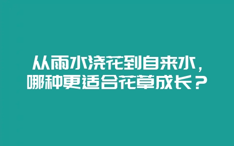 从雨水浇花到自来水，哪种更适合花草成长？-会东网