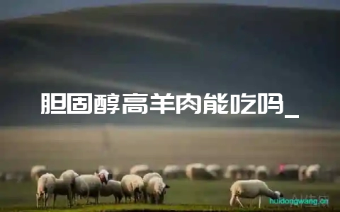 胆固醇高羊肉能吃吗_-会东网