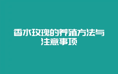 香水玫瑰的养殖方法与注意事项-会东网