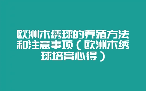 欧洲木绣球的养殖方法和注意事项（欧洲木绣球培育心得）-会东网