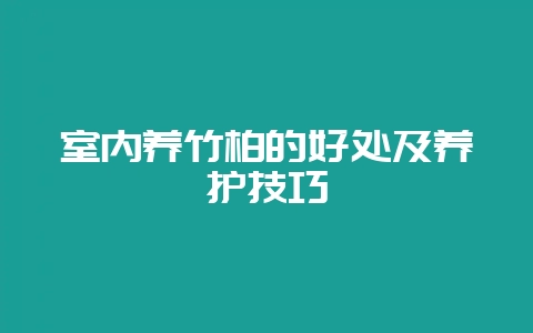 室内养竹柏的好处及养护技巧-会东网