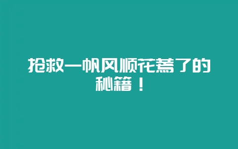 抢救一帆风顺花蔫了的秘籍！-会东网