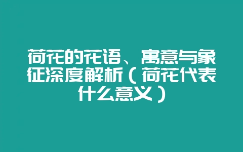 荷花的花语、寓意与象征深度解析(荷花代表什么意义)-会东网