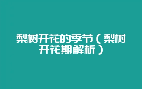 梨树开花的季节（梨树开花期解析）-会东网