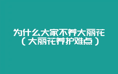 为什么大家不养大丽花(大丽花养护难点)-会东网