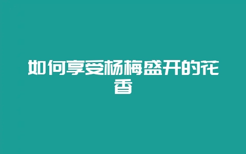 如何享受杨梅盛开的花香-会东网