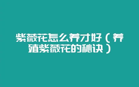 紫薇花怎么养才好(养殖紫薇花的秘诀)-会东网
