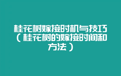 桂花树嫁接时机与技巧（桂花树的嫁接时间和方法）-会东网