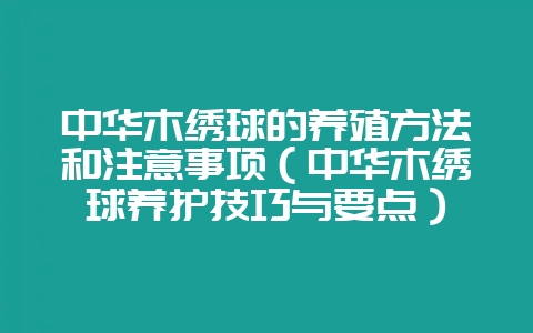中华木绣球的养殖方法和注意事项（中华木绣球养护技巧与要点）-会东网