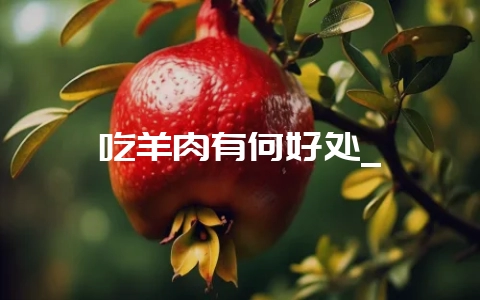 吃羊肉有何好处_-会东网