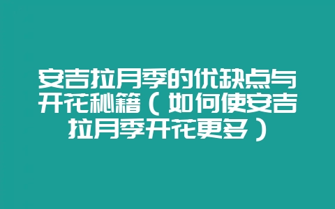 安吉拉月季的优缺点与开花秘籍（如何使安吉拉月季开花更多）-会东网