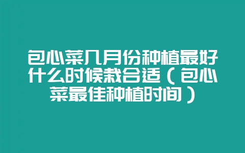 包心菜几月份种植最好什么时候栽合适（包心菜最佳种植时间）-会东网