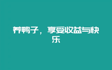 养鸭子,享受收益与快乐-会东网