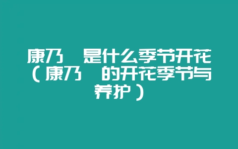 康乃馨是什么季节开花(康乃馨的开花季节与养护)-会东网