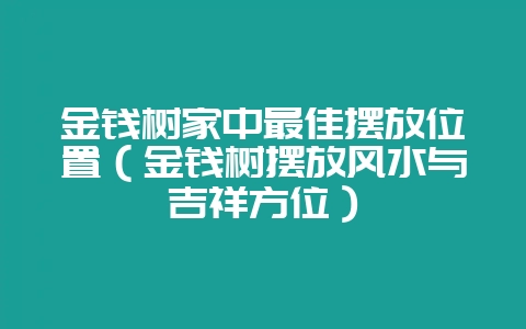 金钱树家中最佳摆放位置（金钱树摆放风水与吉祥方位）-会东网