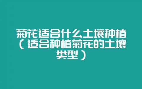 菊花适合什么土壤种植（适合种植菊花的土壤类型）-会东网