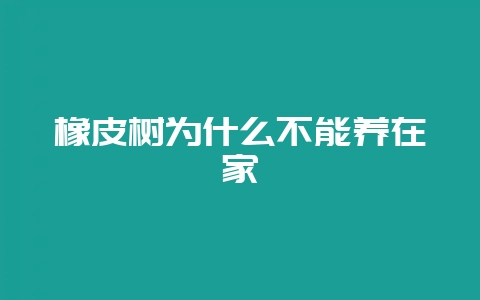 橡皮树为什么不能养在家-会东网
