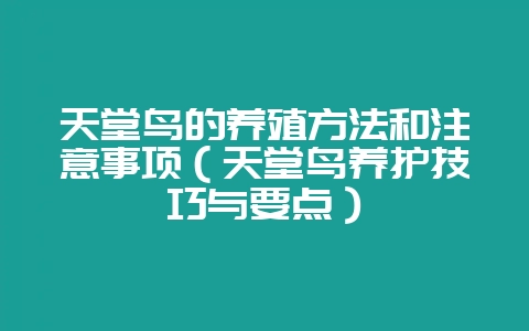 天堂鸟的养殖方法和注意事项(天堂鸟养护技巧与要点)-会东网