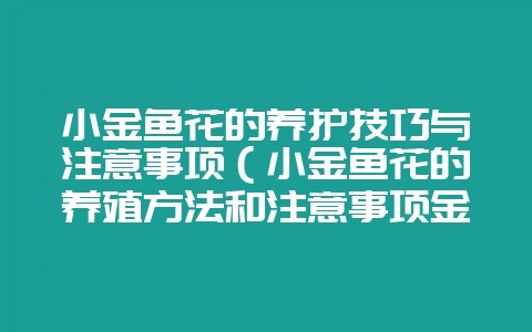 小金鱼花的养护技巧与注意事项（小金鱼花的养殖方法和注意事项金-会东网