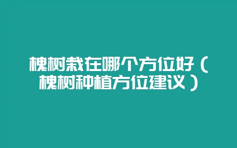 槐树栽在哪个方位好（槐树种植方位建议）-会东网