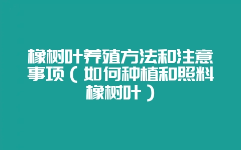 橡树叶养殖方法和注意事项（如何种植和照料橡树叶）-会东网