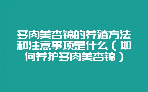 多肉美杏锦的养殖方法和注意事项是什么(如何养护多肉美杏锦)-会东网