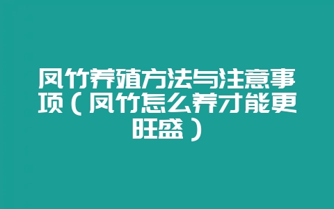 凤竹养殖方法与注意事项(凤竹怎么养才能更旺盛)-会东网