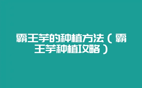 霸王芋的种植方法（霸王芋种植攻略）-会东网