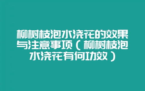 柳树枝泡水浇花的效果与注意事项（柳树枝泡水浇花有何功效）-会东网