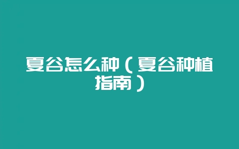 夏谷怎么种(夏谷种植指南)-会东网