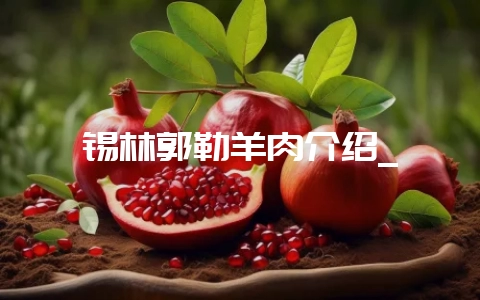 锡林郭勒羊肉介绍_-会东网