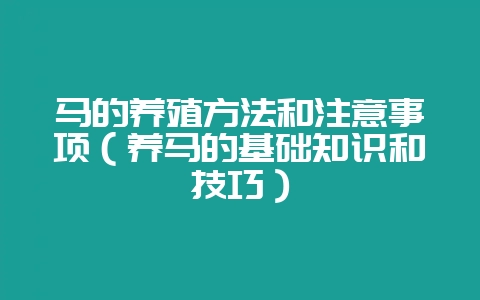 马的养殖方法和注意事项(养马的基础知识和技巧)-会东网