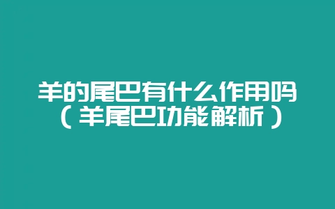羊的尾巴有什么作用吗（羊尾巴功能解析）-会东网