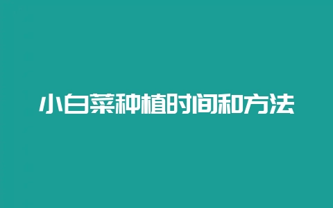 小白菜种植时间和方法-会东网