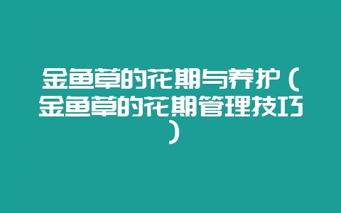 金鱼草的花期与养护(金鱼草的花期管理技巧)-会东网