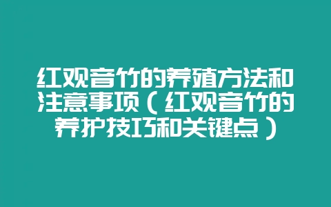 红观音竹的养殖方法和注意事项(红观音竹的养护技巧和关键点)-会东网